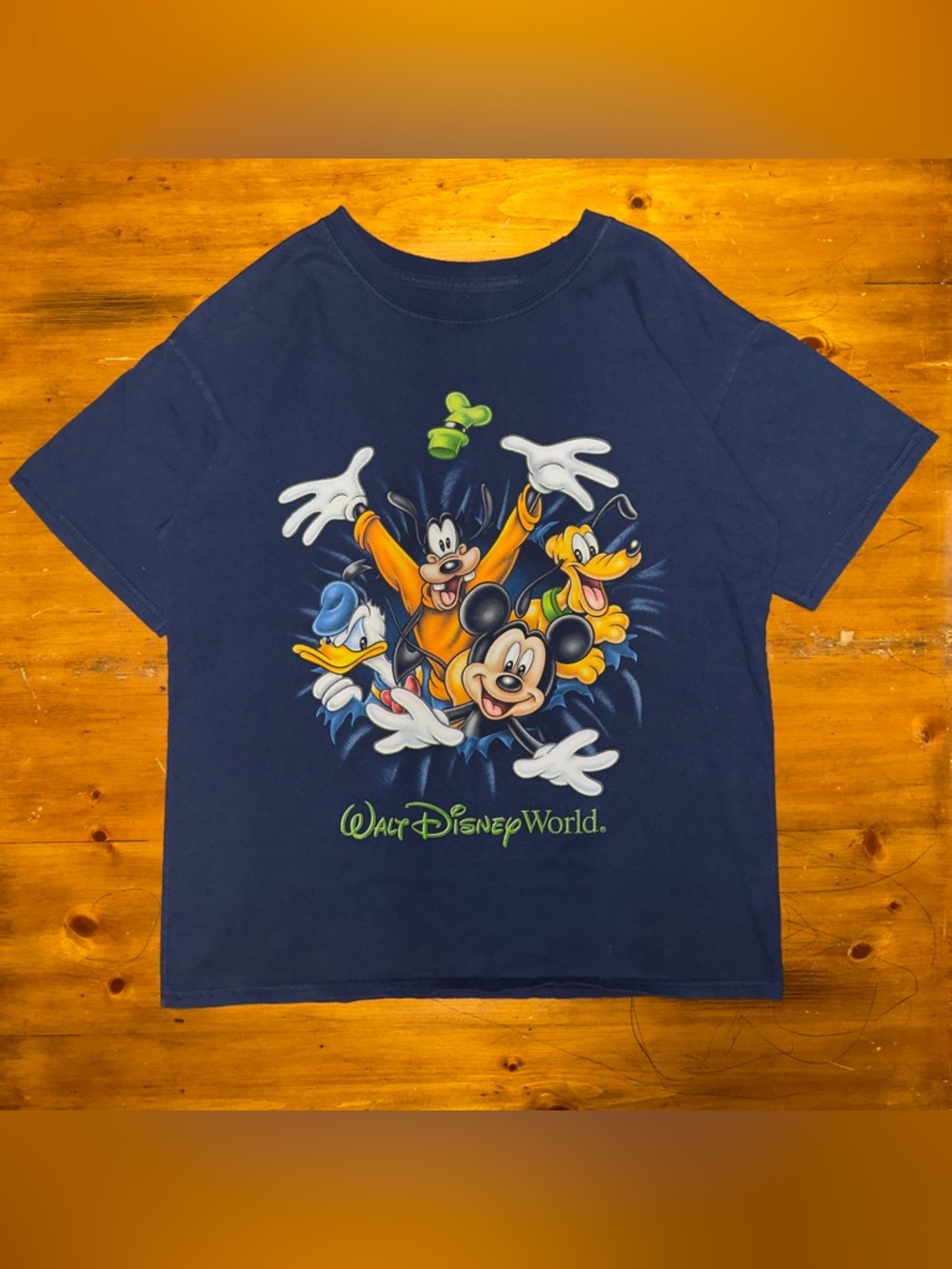 Walt Disney World Vintage T Shirt Blue Size XL 2 Sided Mickey Goofy Donald Pluto